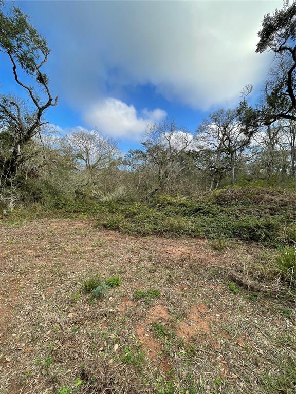 281 Tr 4 Ramblewood Road, Sargent, Texas image 20