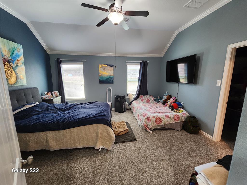 3050 Coreopsis Court, Dickinson, Texas image 10