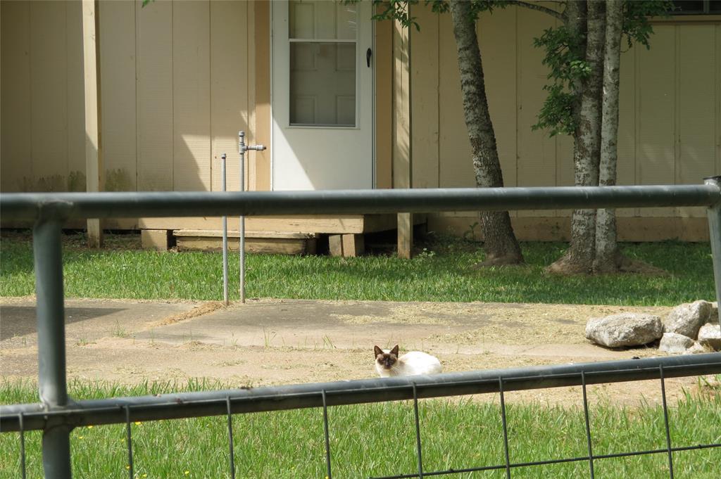 380 Keeland Drive, New Waverly, Texas image 5