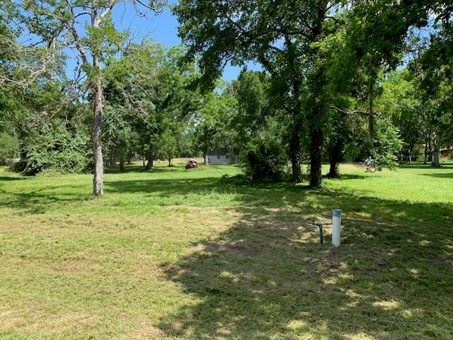 Banyansco Avenue, Matagorda, Texas image 2