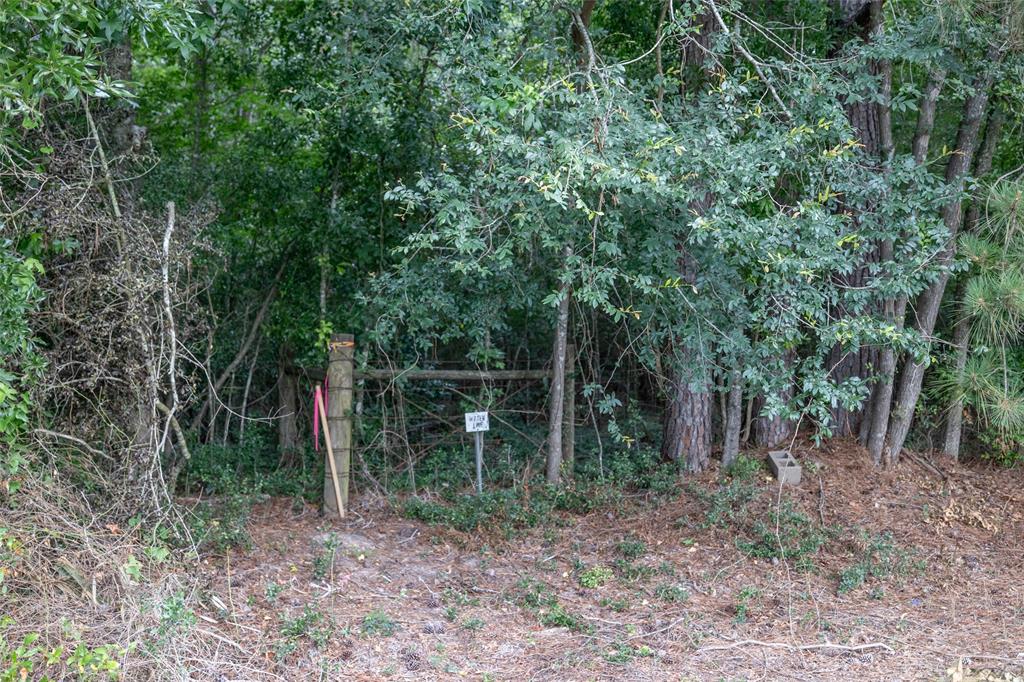 TBD-A3 County Road 318, Cleveland, Texas image 8