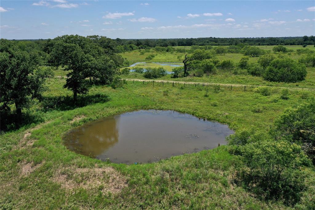 4410 Farm To Market 1115, Waelder, Texas image 11