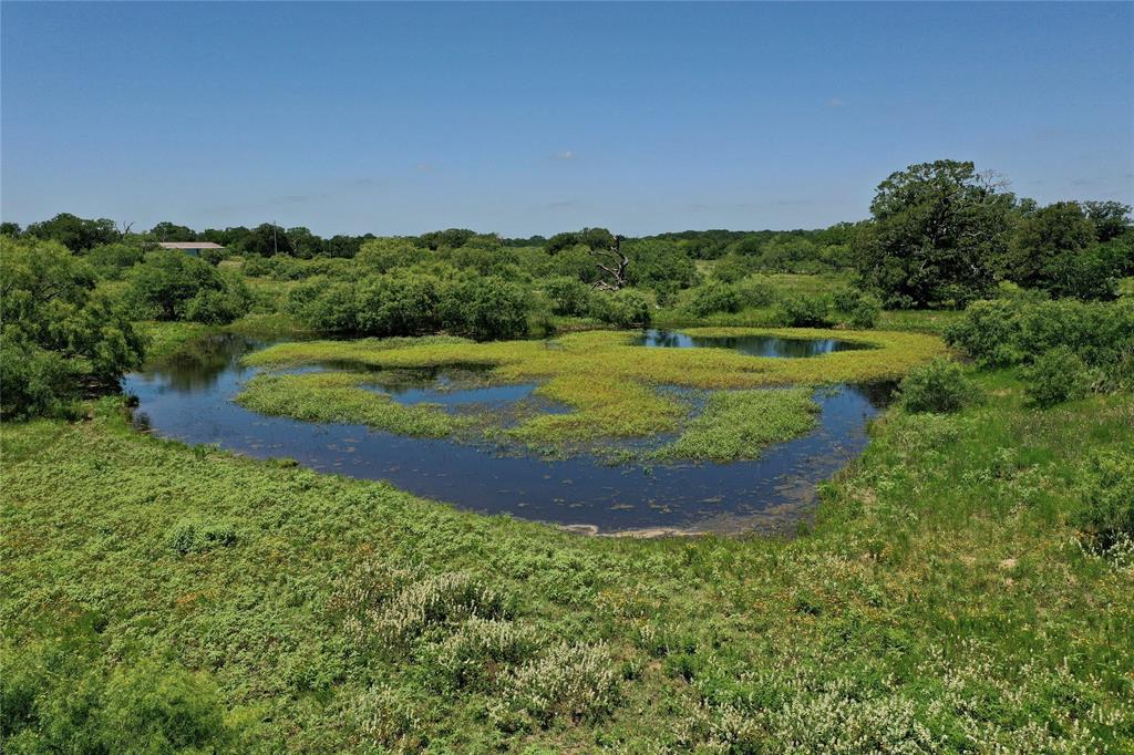 4410 Farm To Market 1115, Waelder, Texas image 10