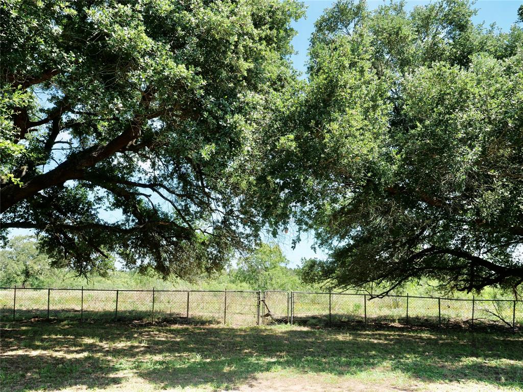 4410 Farm To Market 1115, Waelder, Texas image 4