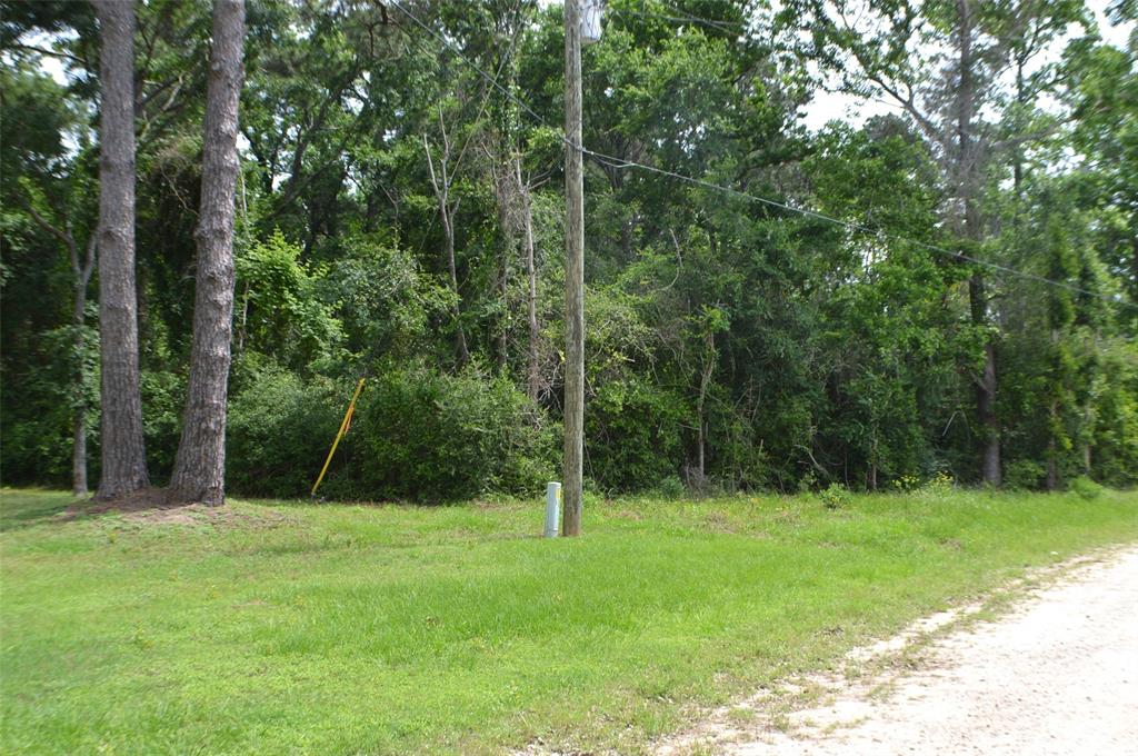 Onalaska East Drive, Onalaska, Texas image 2
