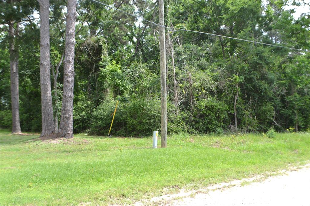 Onalaska East Drive, Onalaska, Texas image 1