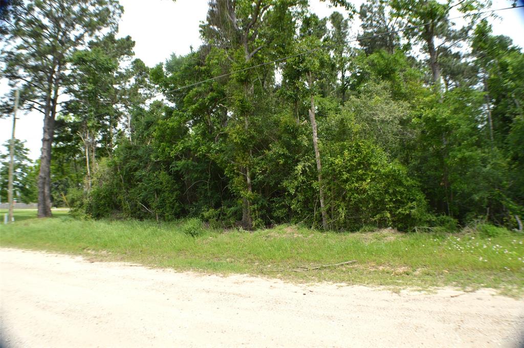 Onalaska East Drive, Onalaska, Texas image 8