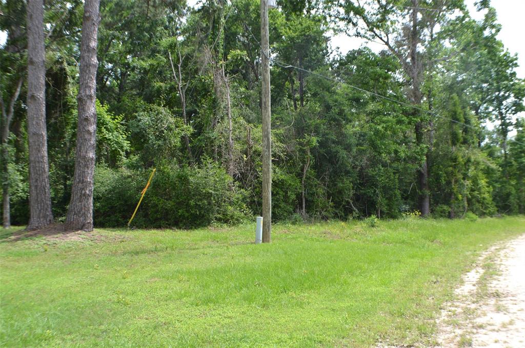 Onalaska East Drive, Onalaska, Texas image 4
