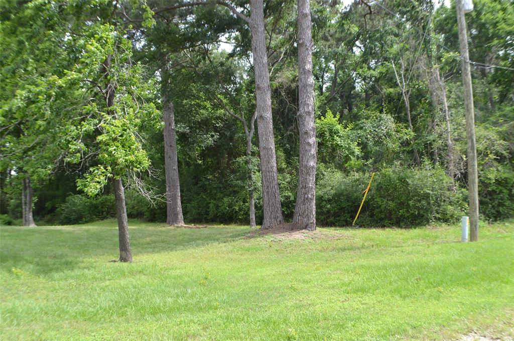 Onalaska East Drive, Onalaska, Texas image 3
