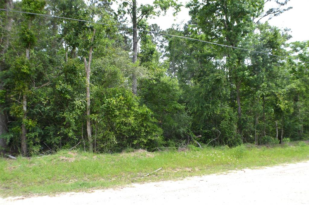 Onalaska East Drive, Onalaska, Texas image 5