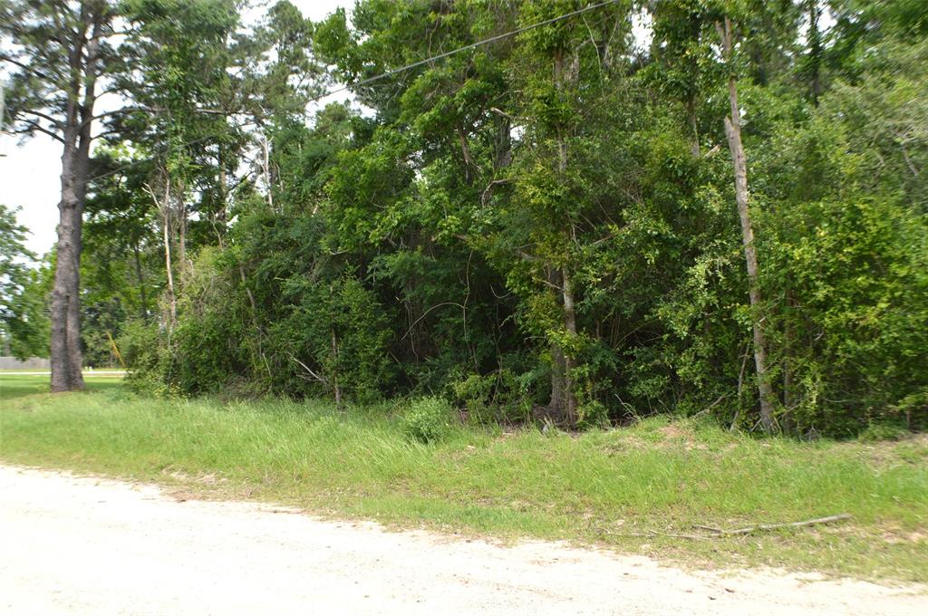 Onalaska East Drive, Onalaska, Texas image 7