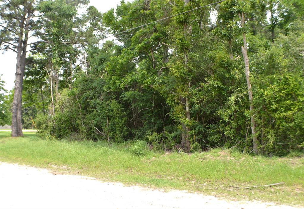 Onalaska East Drive, Onalaska, Texas image 6