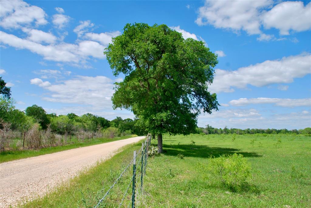 1835 Lehmann Road, San Marcos, Texas image 9