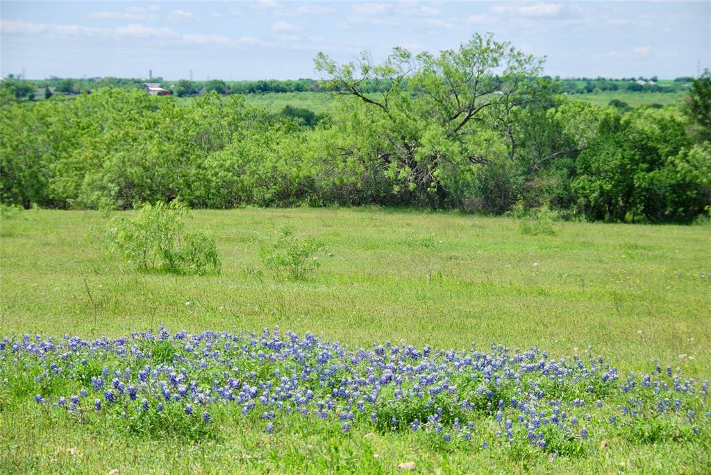 1835 Lehmann Road, San Marcos, Texas image 18