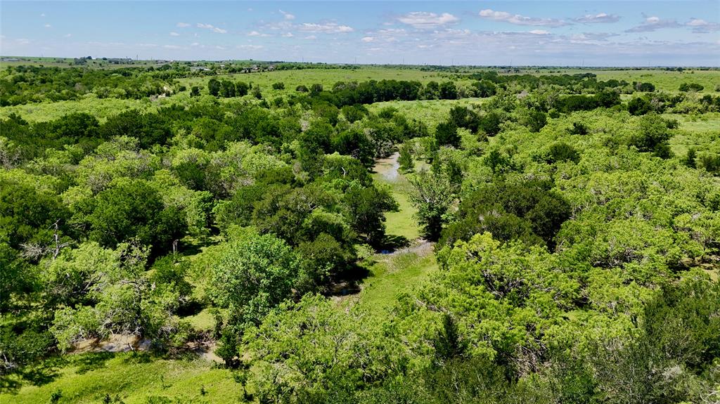 1835 Lehmann Road, San Marcos, Texas image 10