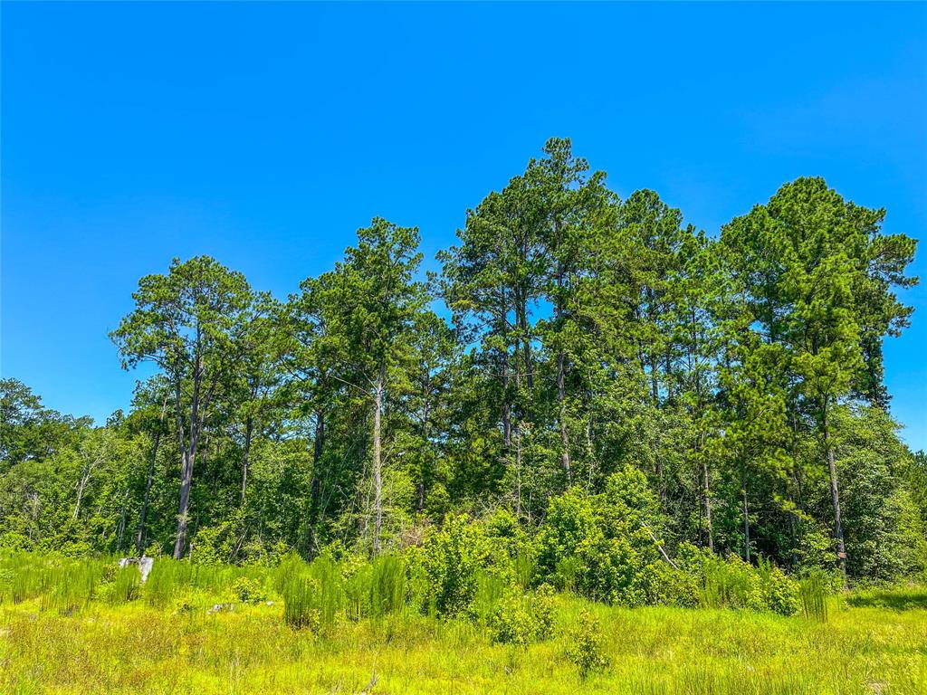 TBD Cr 3930, Colmesneil, Texas image 18