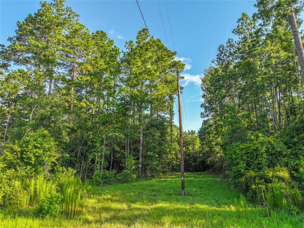 TBD Cr 3930, Colmesneil, Texas image 28