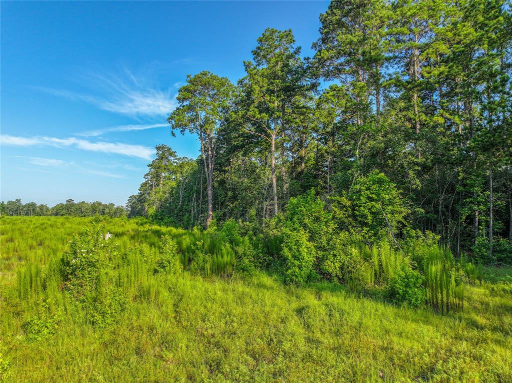 TBD Cr 3930, Colmesneil, Texas image 29