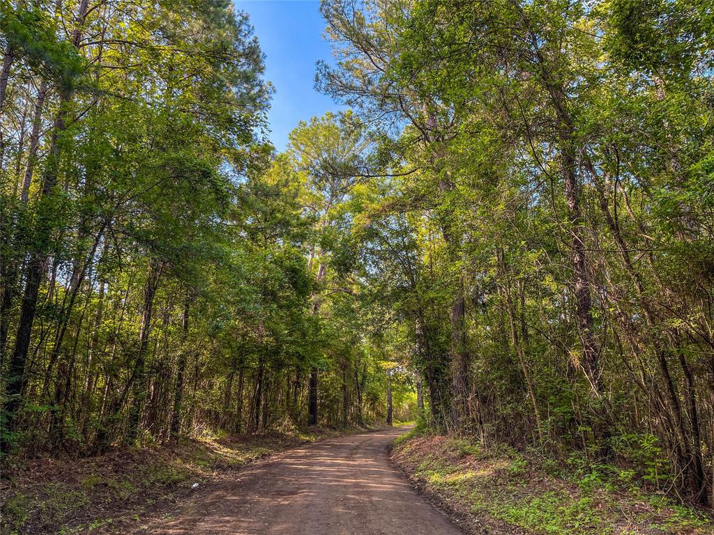 TBD Cr 3930, Colmesneil, Texas image 5