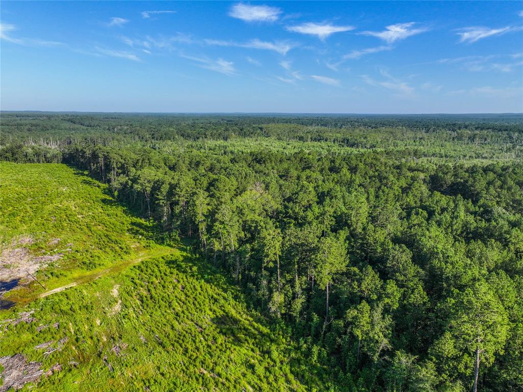 TBD Cr 3930, Colmesneil, Texas image 30