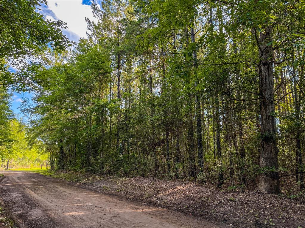 TBD Cr 3930, Colmesneil, Texas image 6