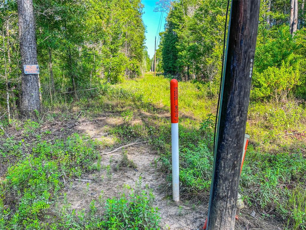 TBD Cr 3930, Colmesneil, Texas image 33