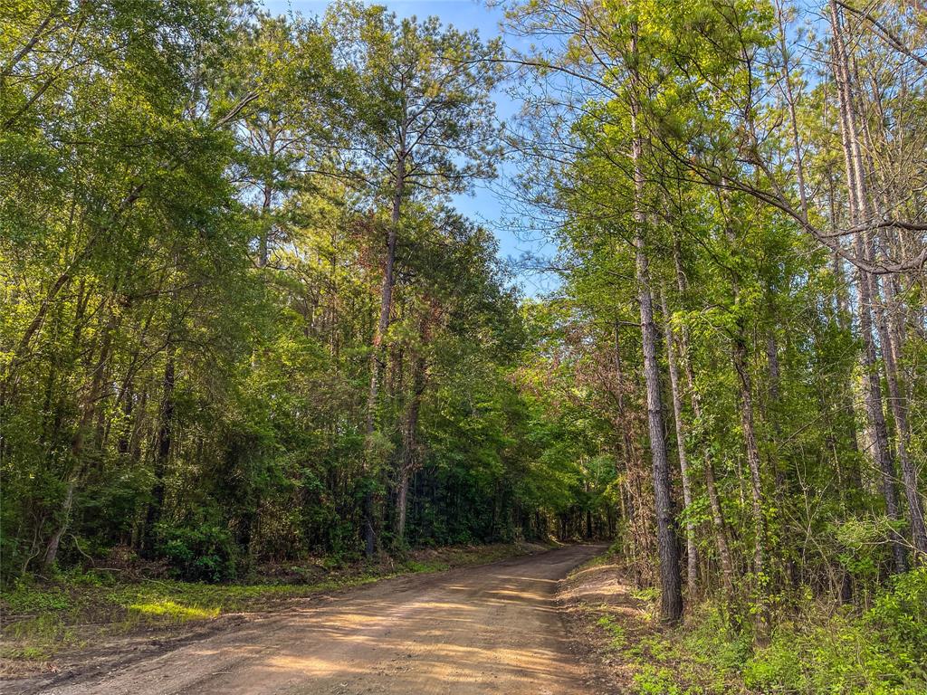 TBD Cr 3930, Colmesneil, Texas image 4