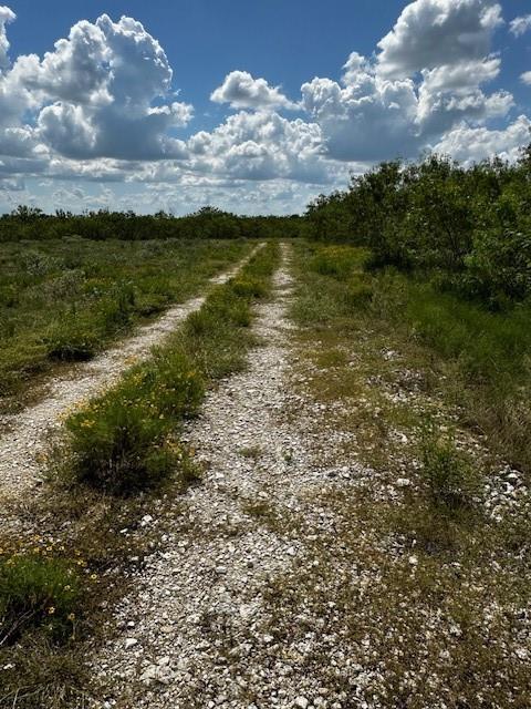 TBD Private Road, Waelder, Texas image 1