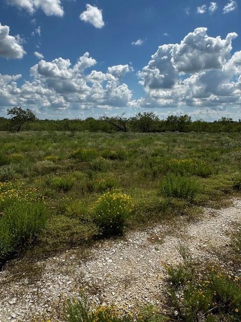 TBD Private Road, Waelder, Texas image 2