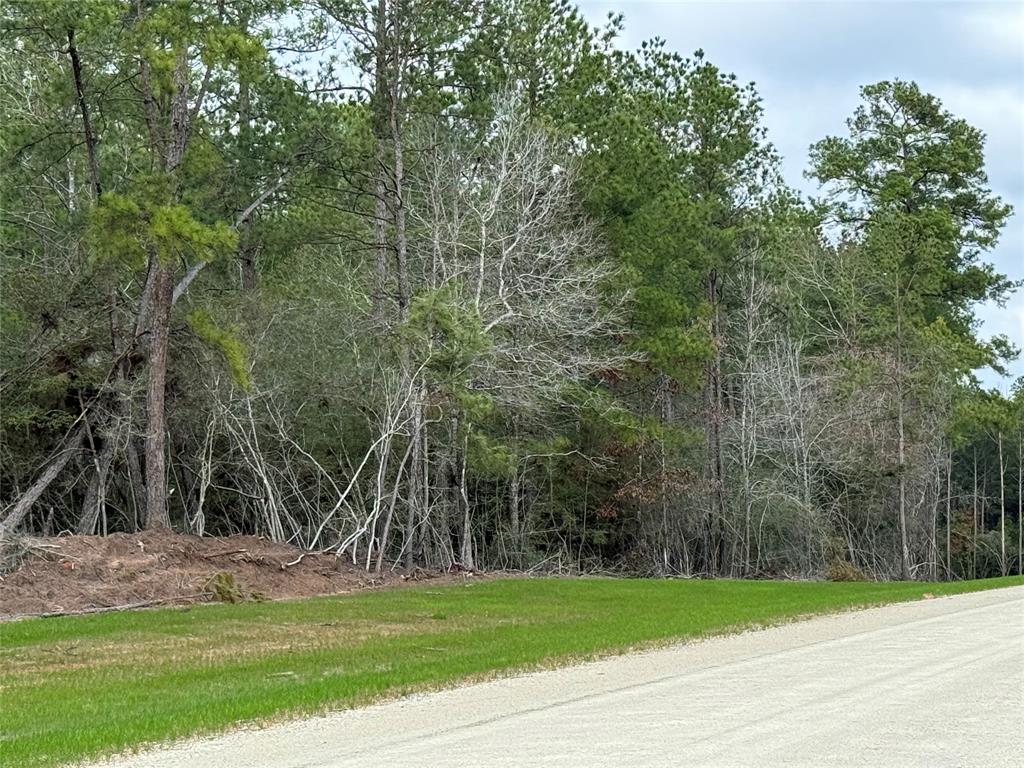 10621 Devotion Road, Willis, Texas image 4