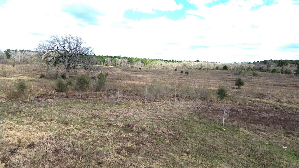 5715 State Highway 19, Crockett, Texas image 11