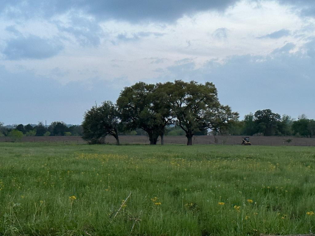 TBD - Lot 3B County Road 222, Schulenburg, Texas image 6