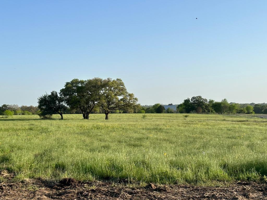 TBD - Lot 3B County Road 222, Schulenburg, Texas image 2