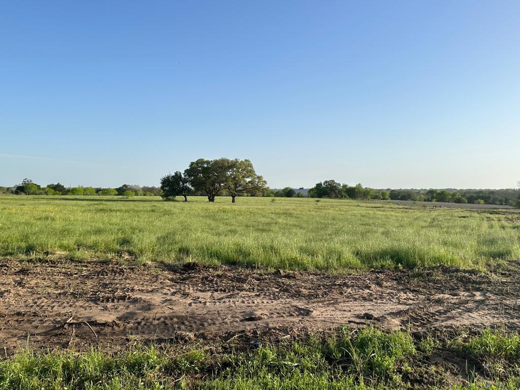 TBD - Lot 3B County Road 222, Schulenburg, Texas image 4