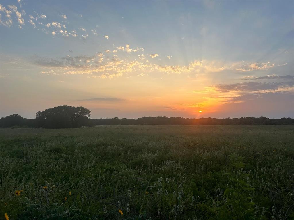 TBD - Lot 3B County Road 222, Schulenburg, Texas image 10