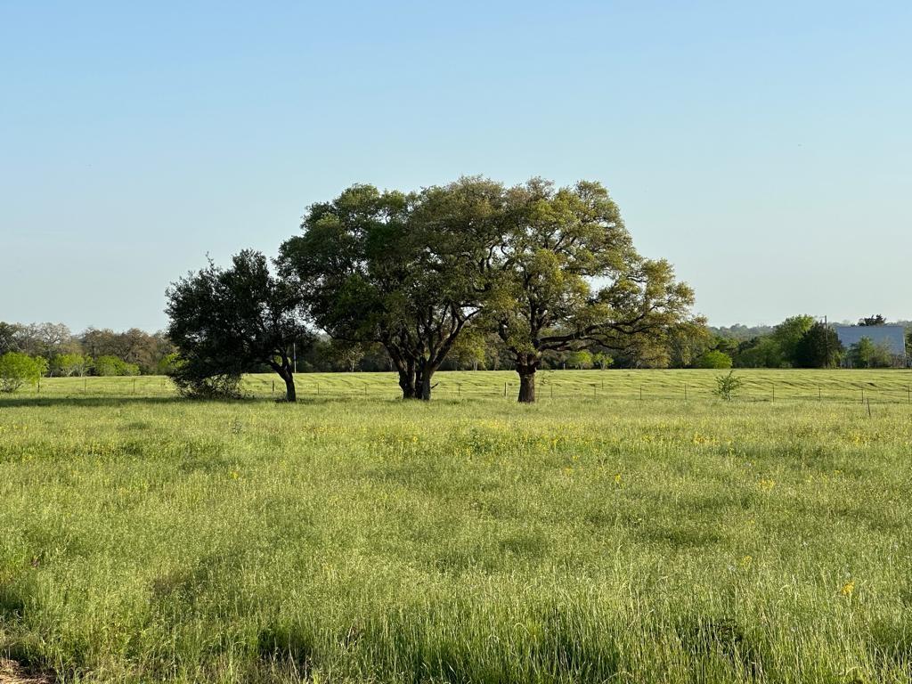 TBD - Lot 3B County Road 222, Schulenburg, Texas image 1