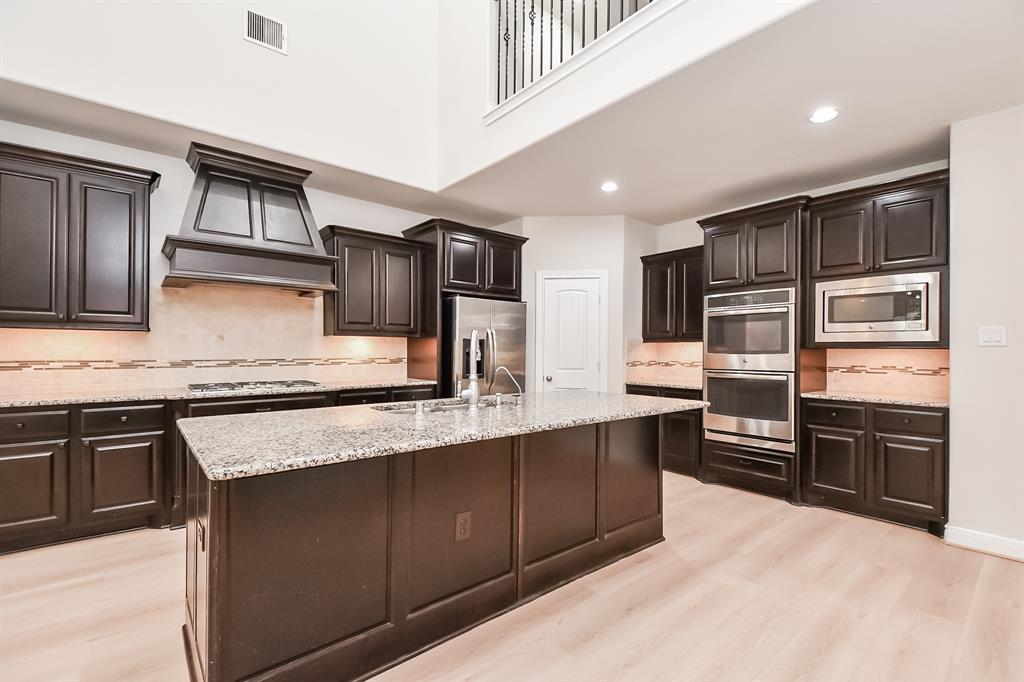 24210 Madrid Hill Lane, Katy, Texas image 9
