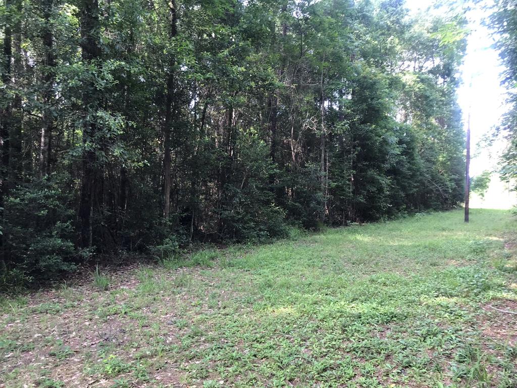 Frances Rd, Cleveland, Texas image 8