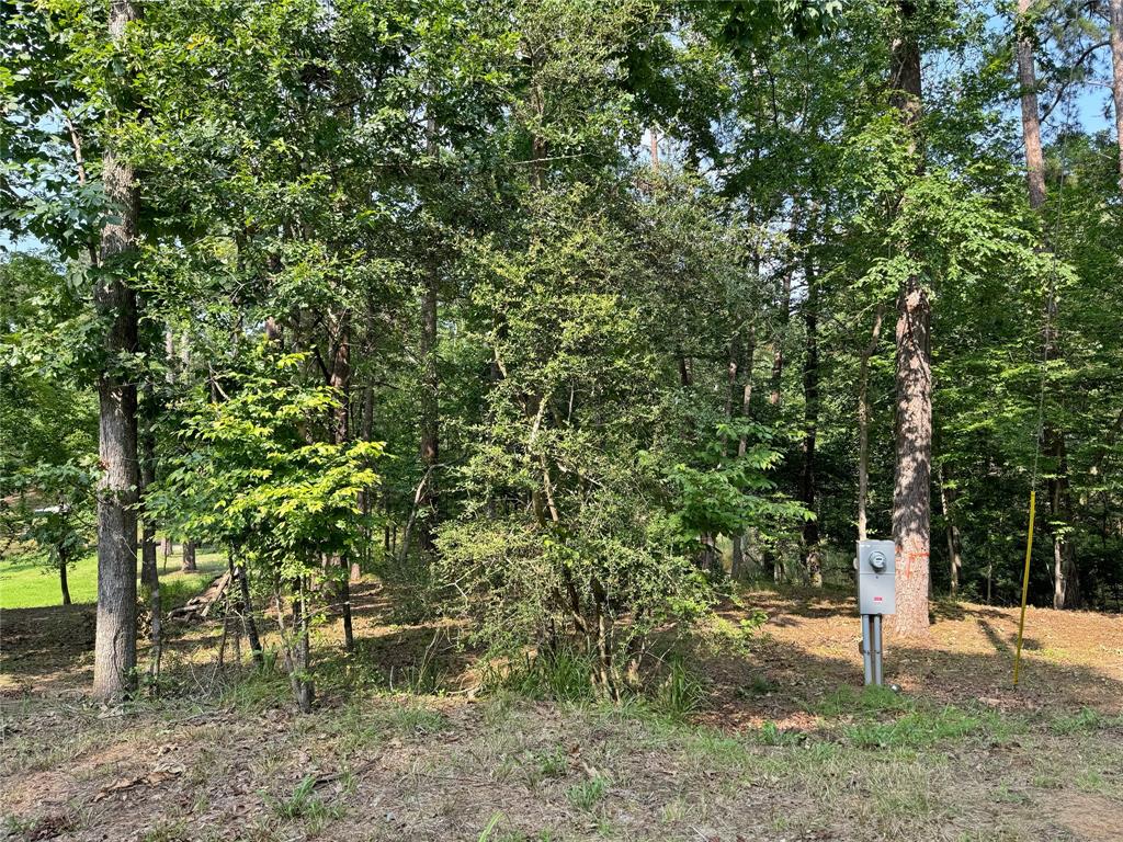 20 Lower Cove Drive