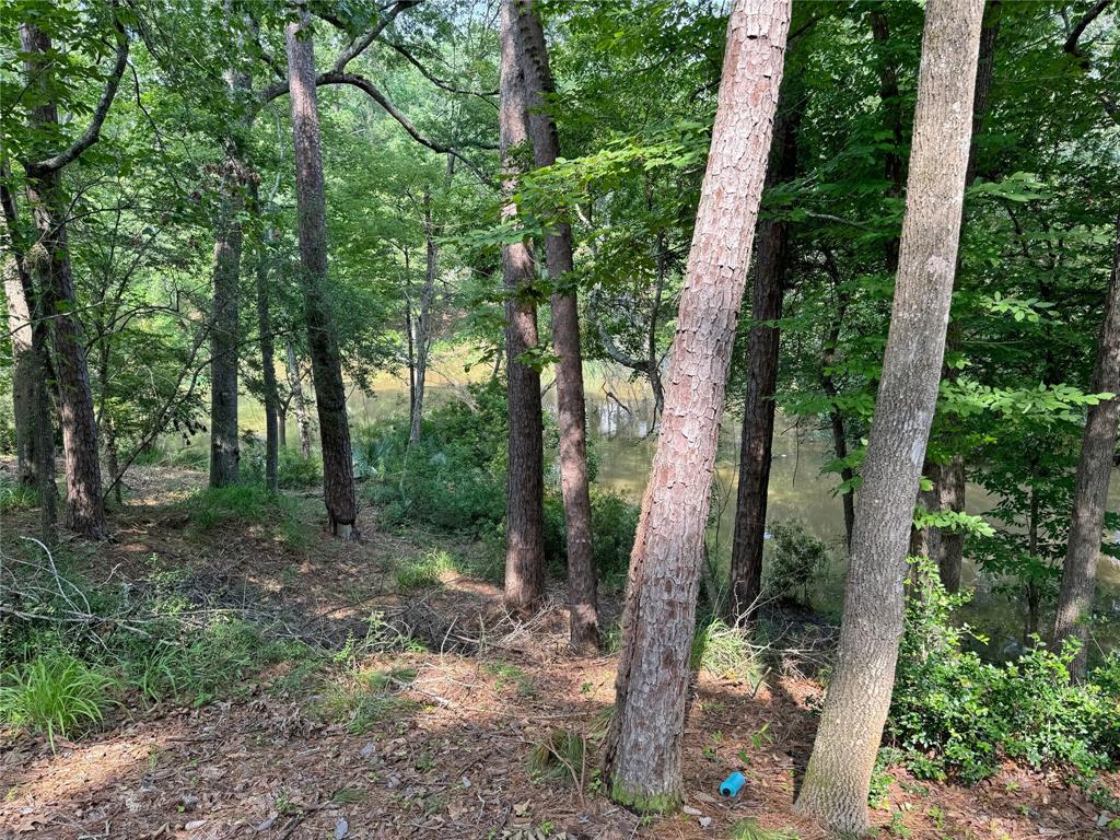 20 Lower Cove Drive