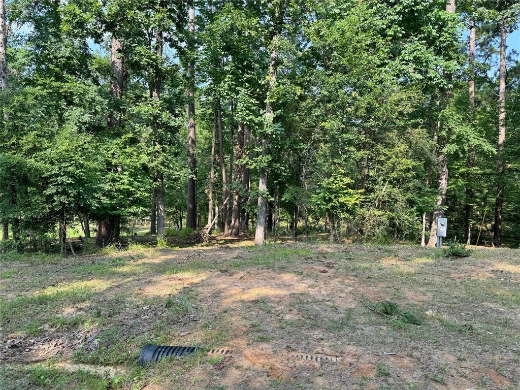 20 Lower Cove Drive