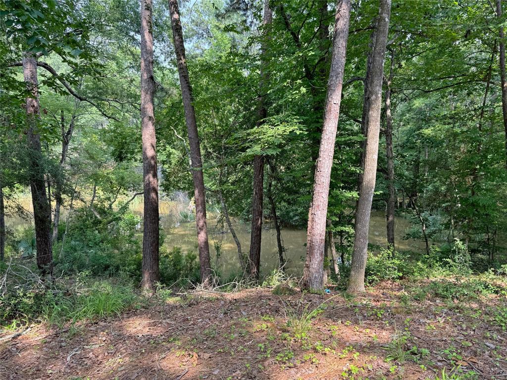 20 Lower Cove Drive