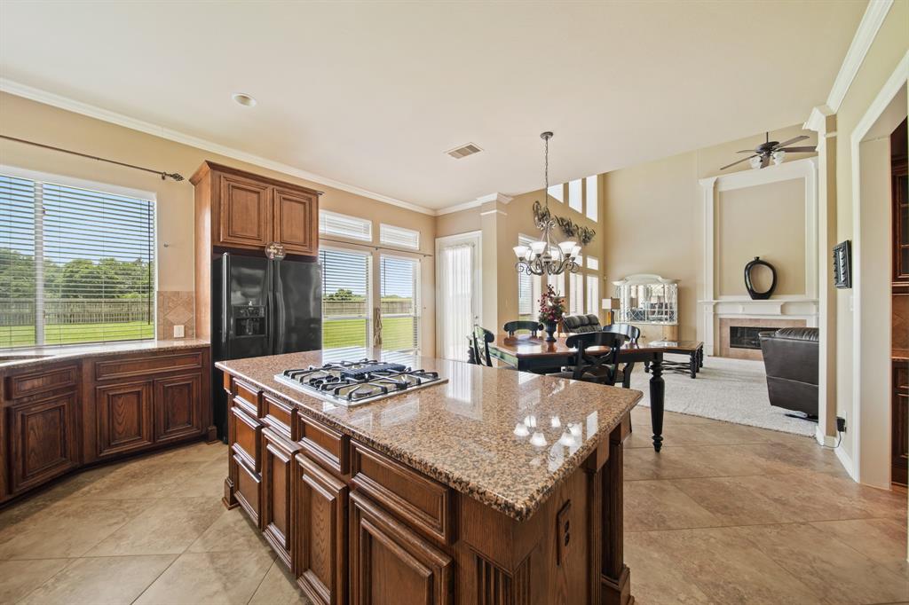 8314 Kelsey Pass, Missouri City, Texas image 20