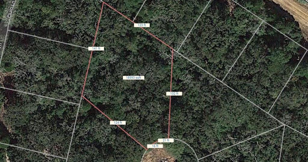 Lot 19 Sycamore Lane, Normangee, Texas image 2