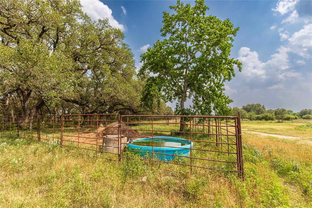 Tract 4 County Road 106, Columbus, Texas image 12