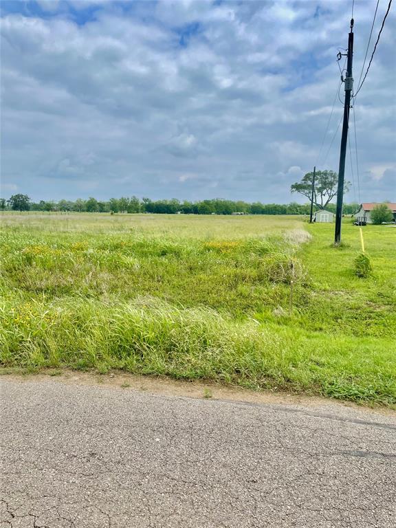 271 Sabinal Street, Boling, Texas image 4