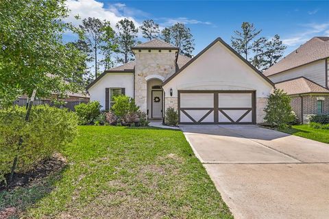 294 Scarlet Maple Way Willis TX 77318