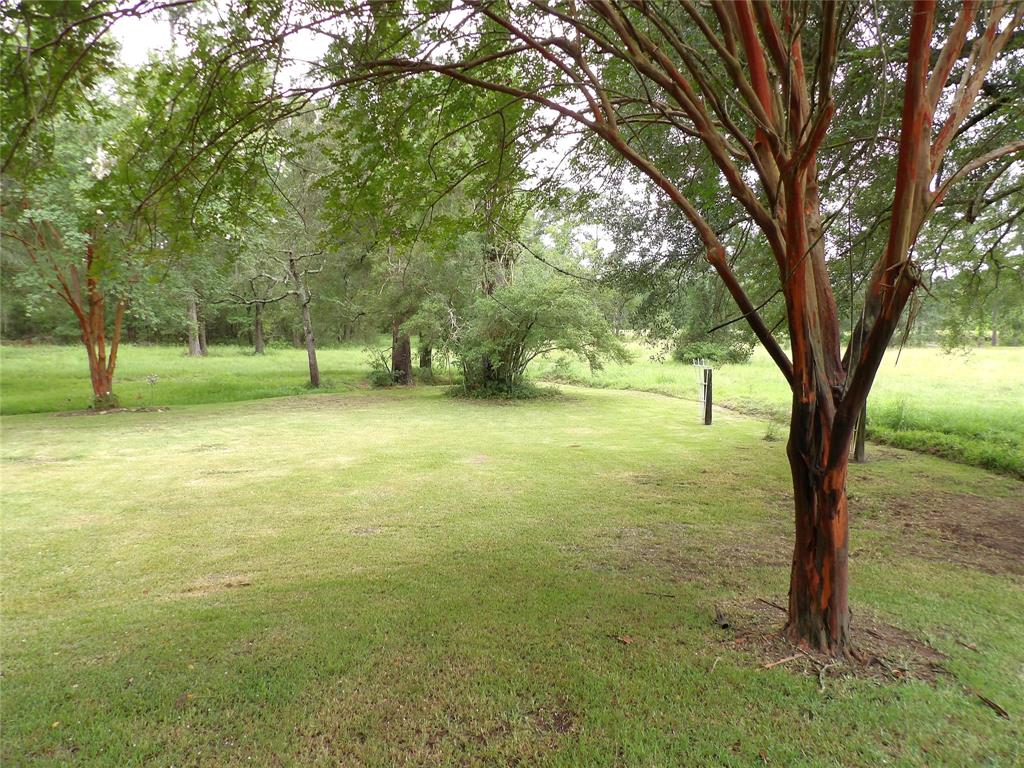 372 County Road 4115, Crockett, Texas image 41