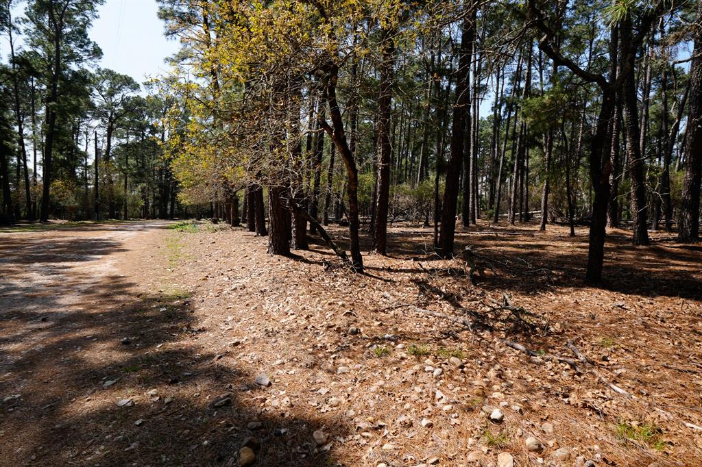 1001 Stephen Lane, La Grange, Texas image 6