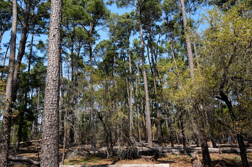 1001 Stephen Lane, La Grange, Texas image 20